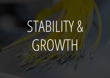 Stability & Growth Manufacturing Resource Group